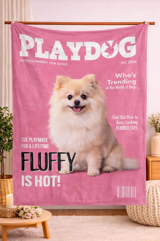 WhatsApp Image 2026-02-25 at 11.41.46 AM