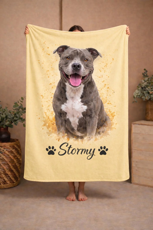 WhatsApp Image 2026-02-16 at 1.22.23 PM