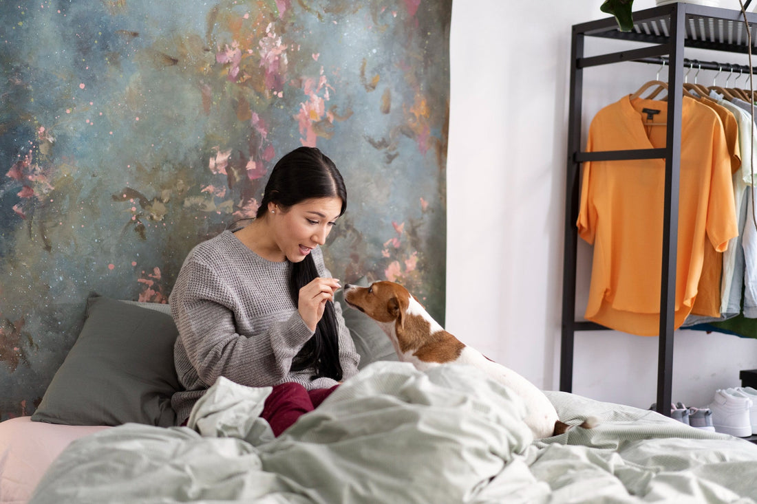 How a Custom Pet Photo Blanket Turns Memories Into Everyday Comfort