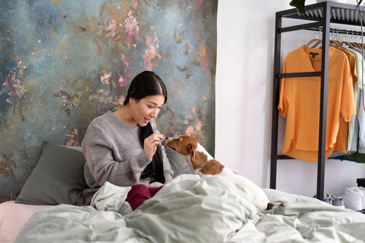 How a Custom Pet Photo Blanket Turns Memories Into Everyday Comfort