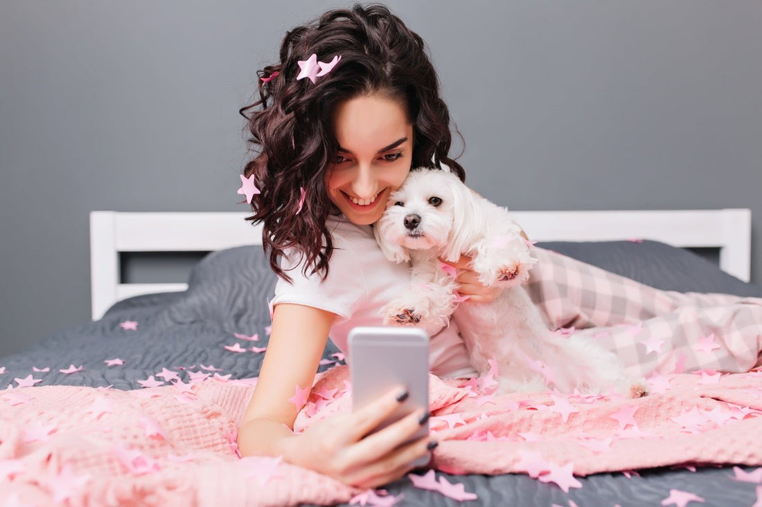 Celebrate Your Pet’s Identity With a Custom Pet Photo Blanket With Name