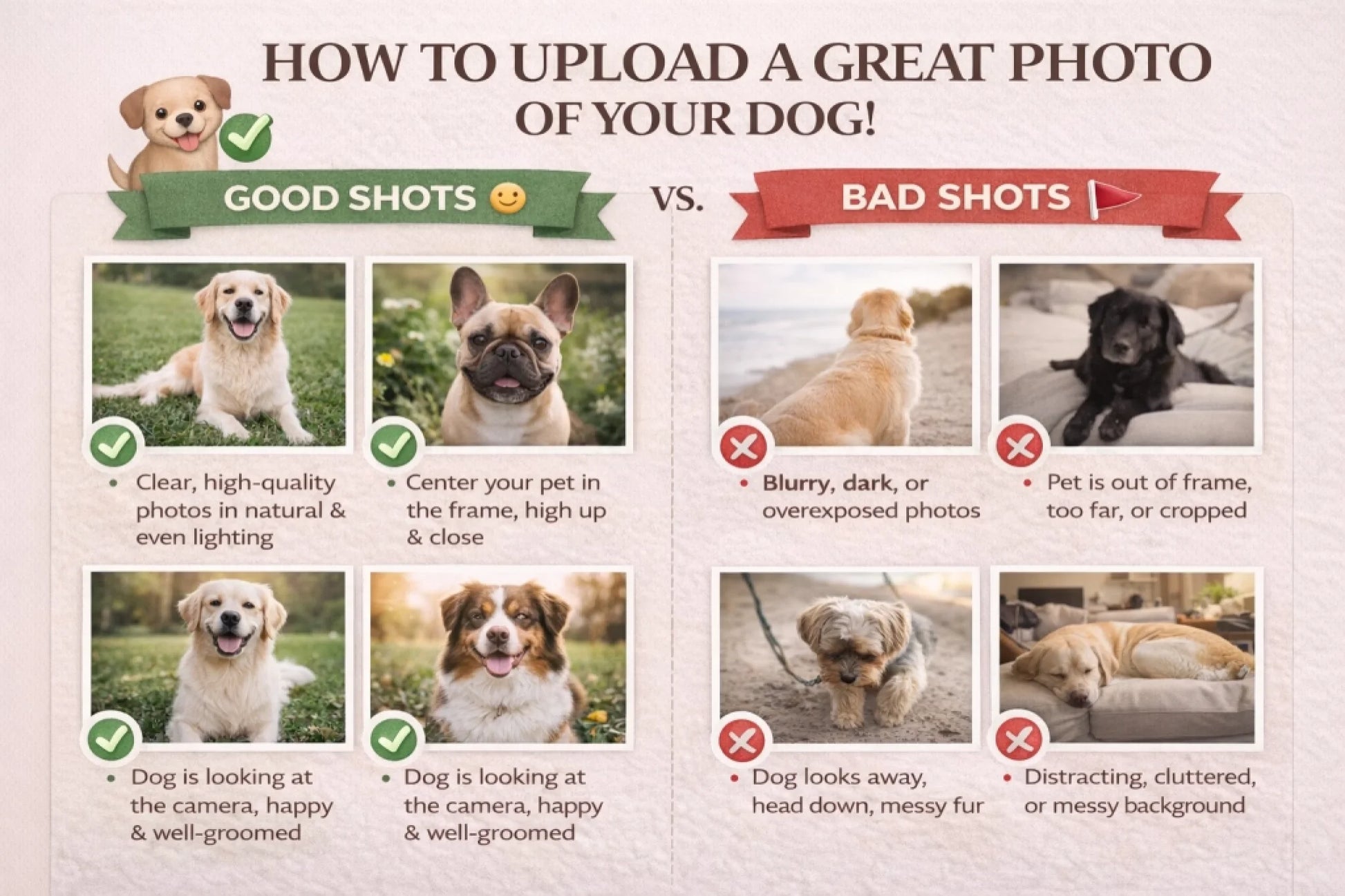 Guide to upload photos mockup