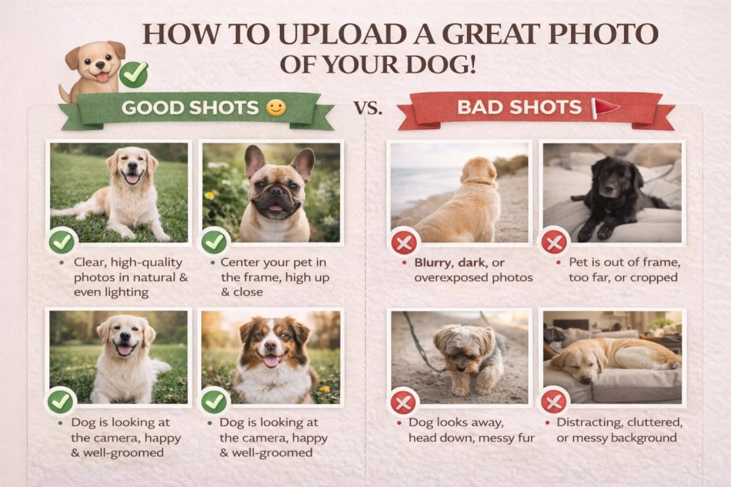 Guide to upload photos mockup