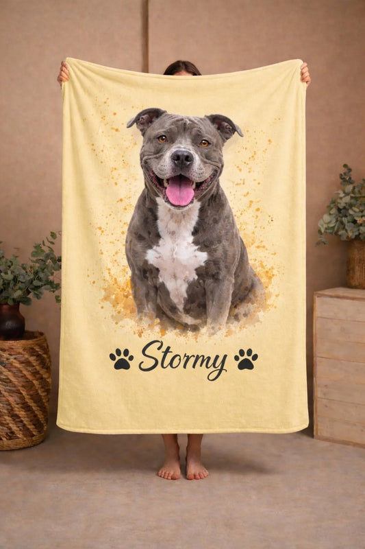 WhatsApp Image 2026-02-16 at 1.22.23 PM