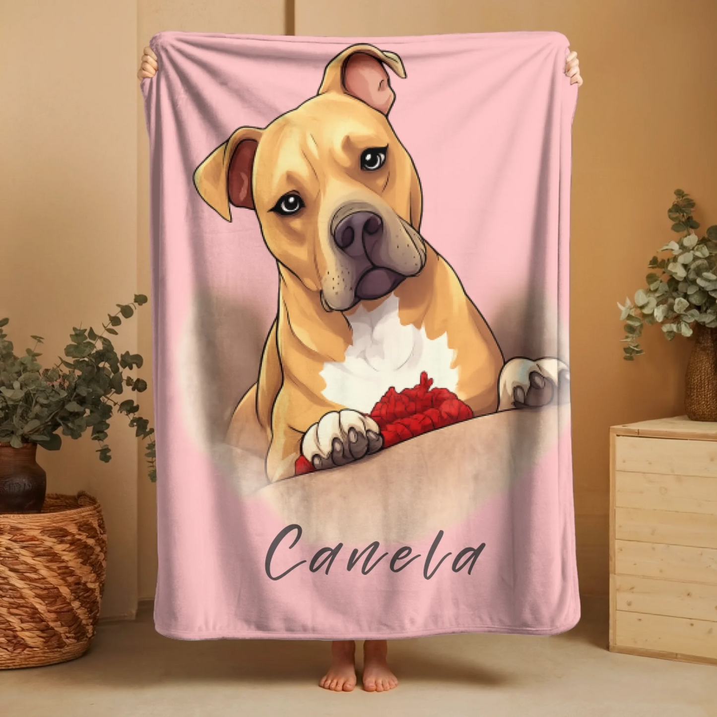 Cartoon Blanket