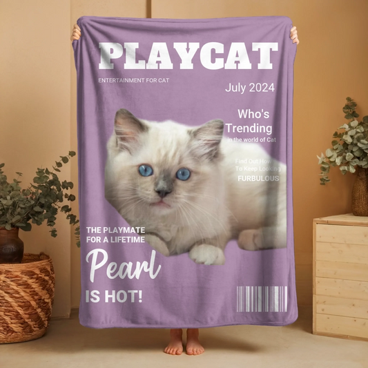 Updated Playcat 1