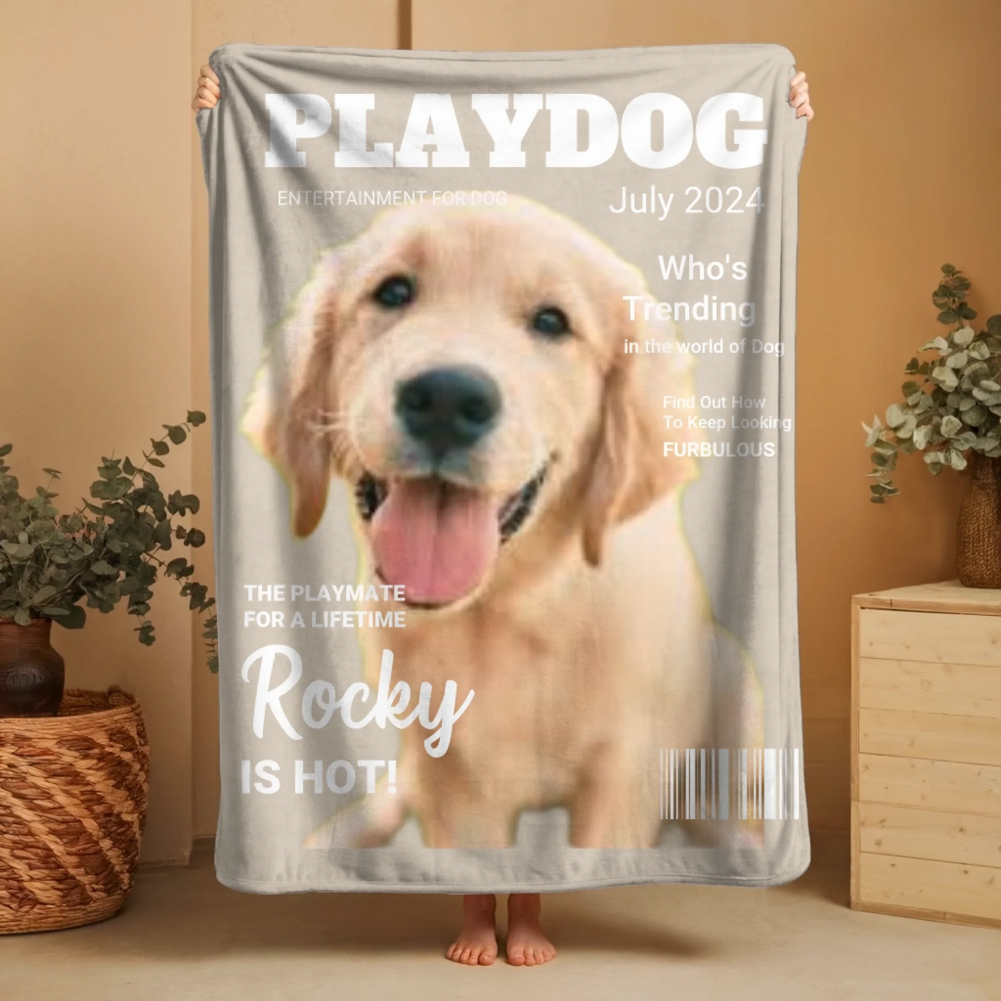 Updated PlayDog 1
