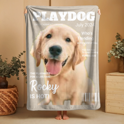 Updated PlayDog 1