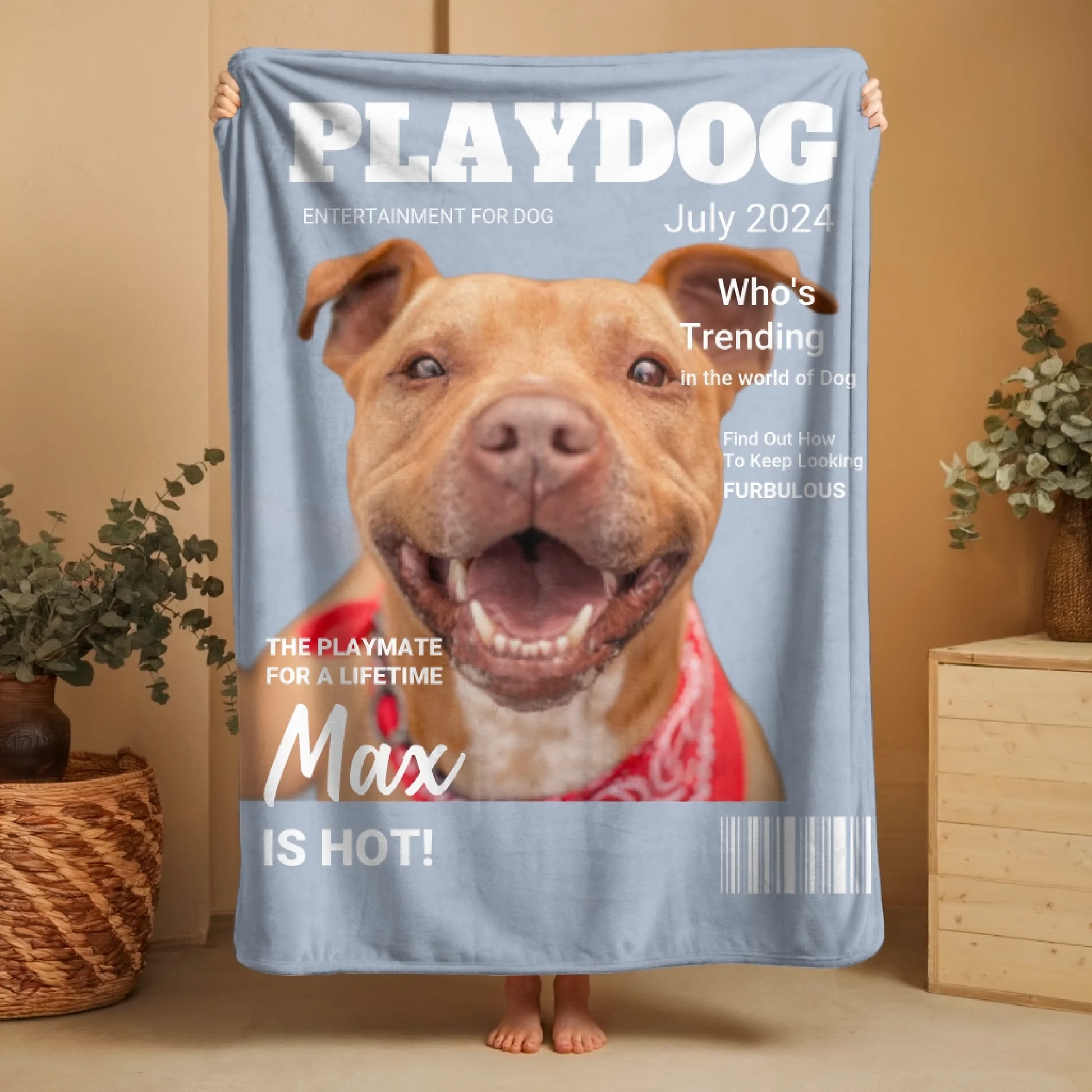 Updated Playdog 2