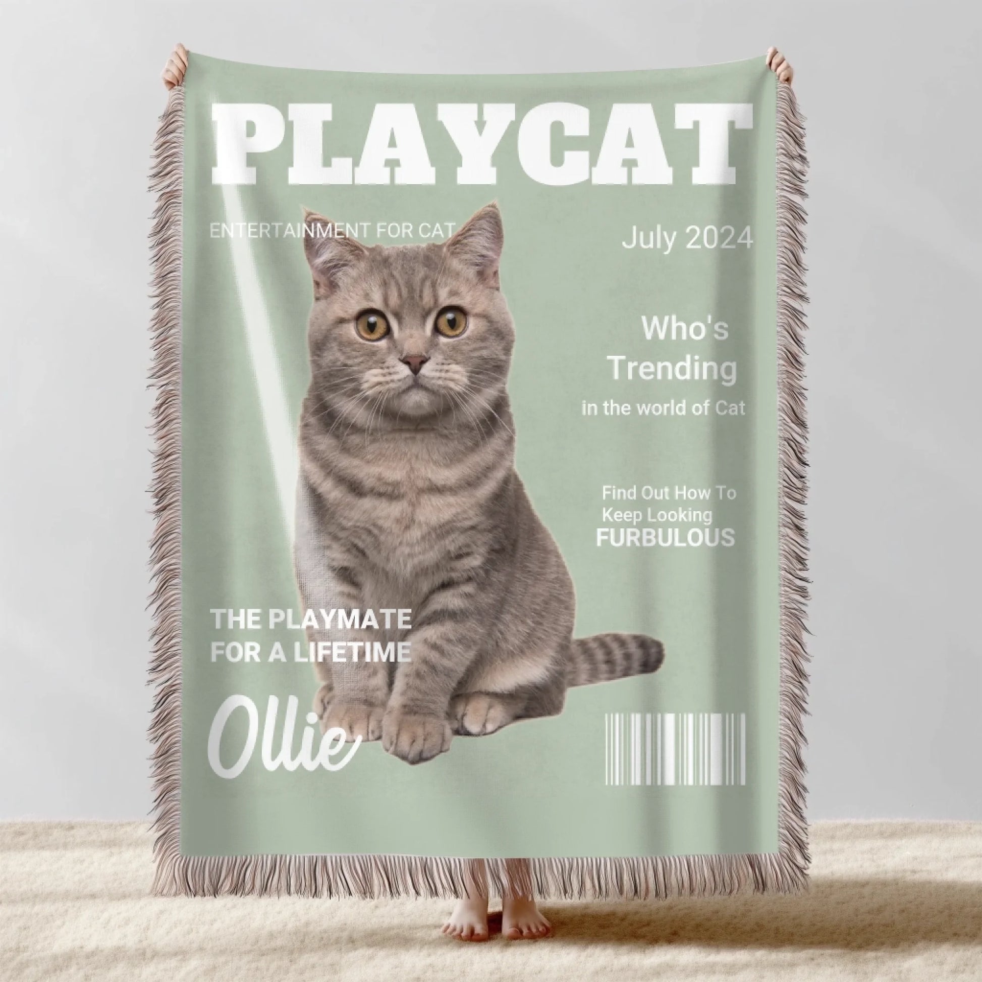 Updated Playcat W 1