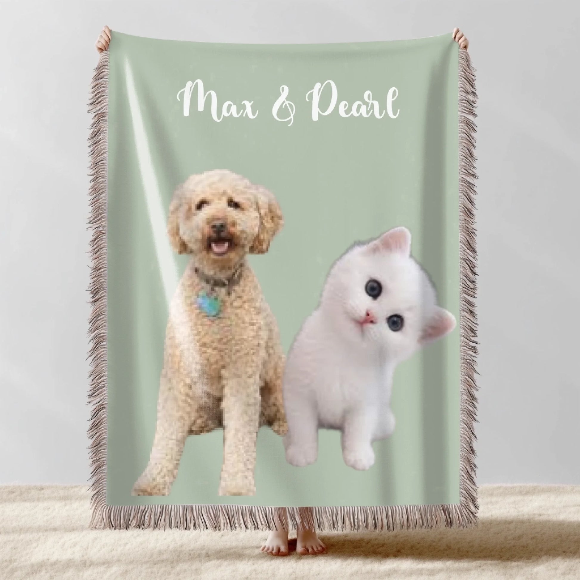 cat & Dog W