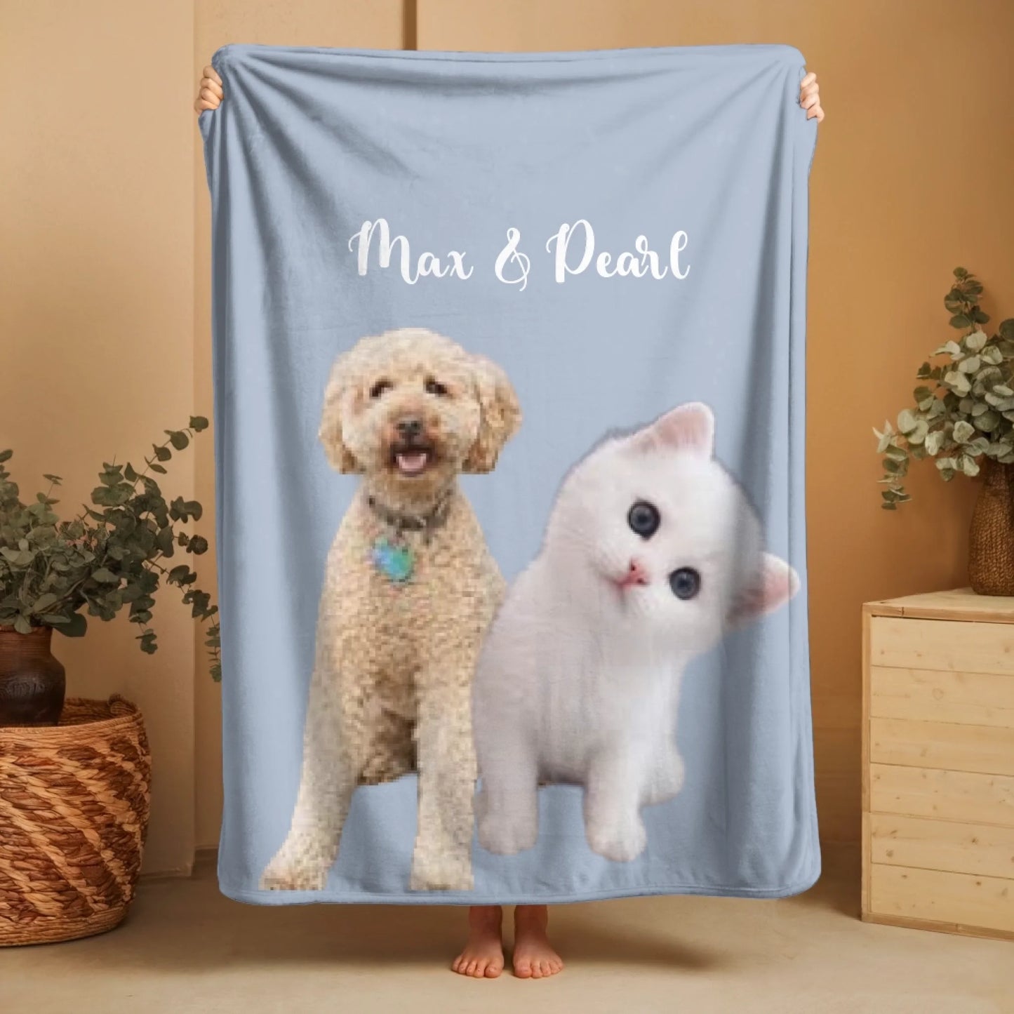 Cat & Dog