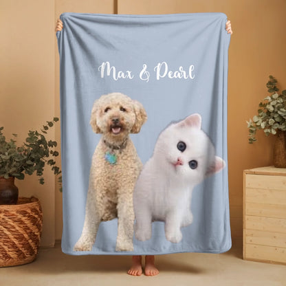Cat & Dog