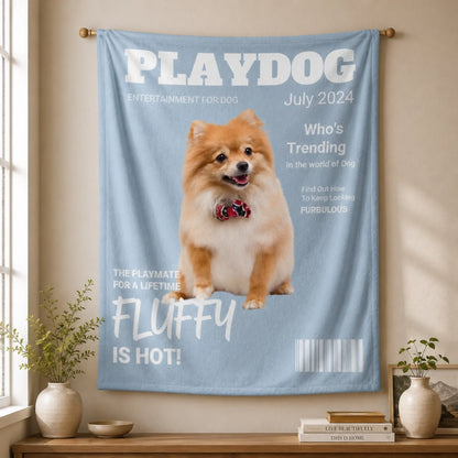 PlayDog 4