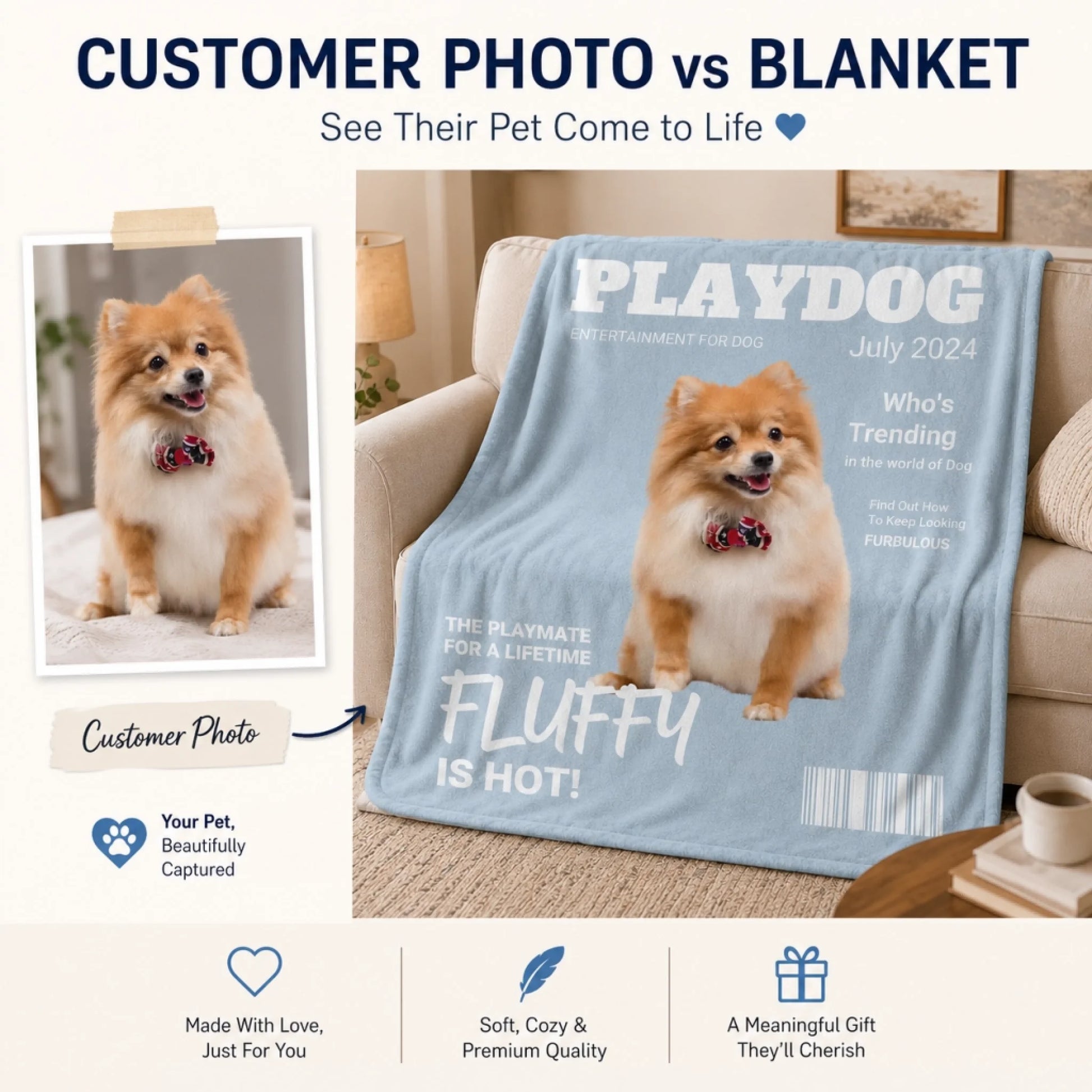 PlayDog 3
