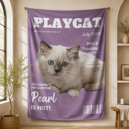 PlayCat