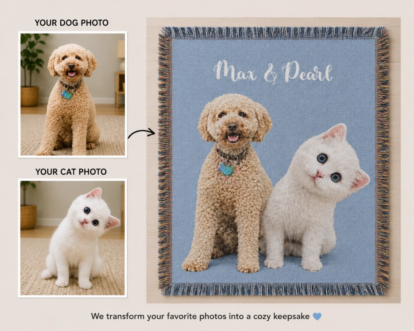 cat & dog Nw