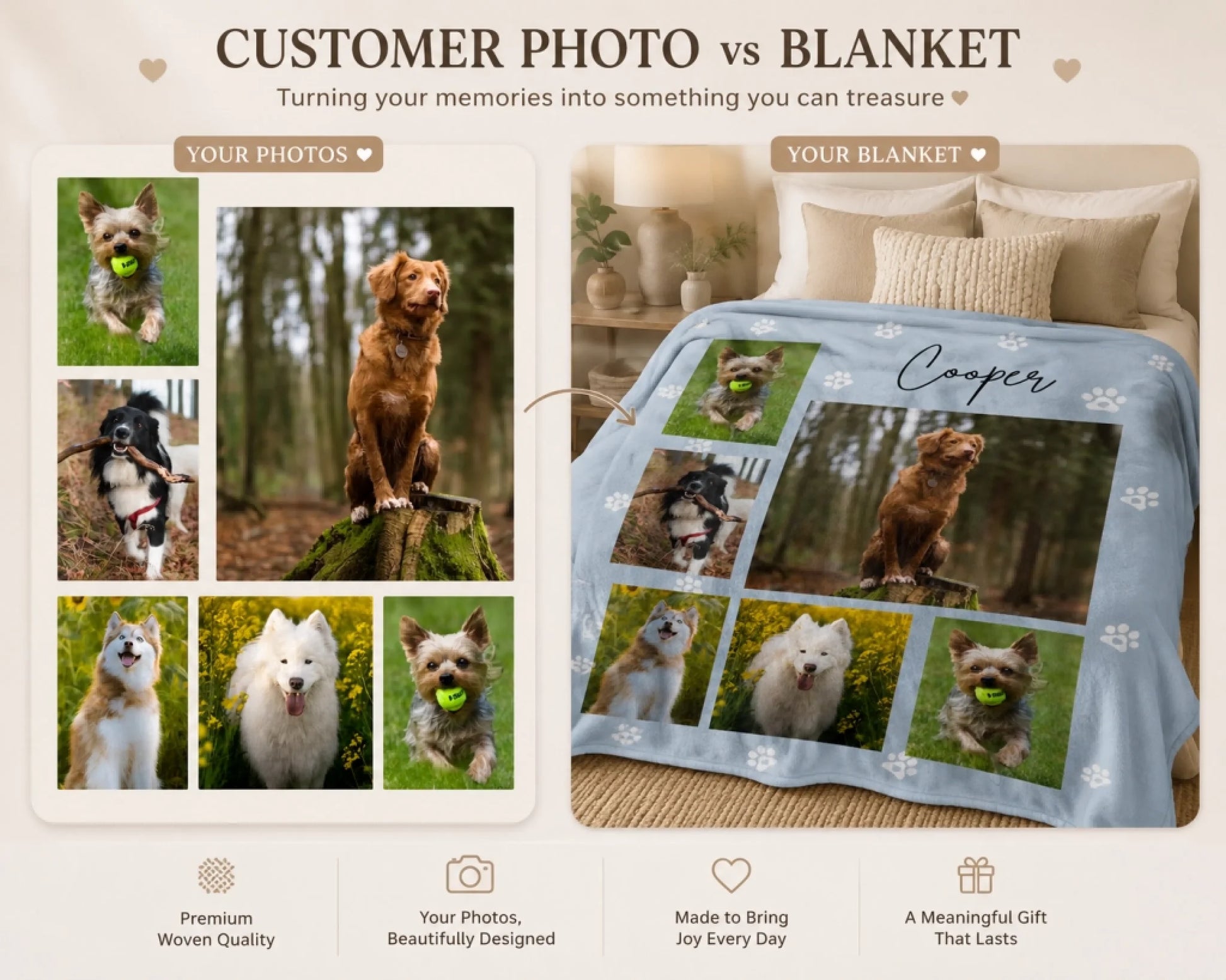 collage dog 2