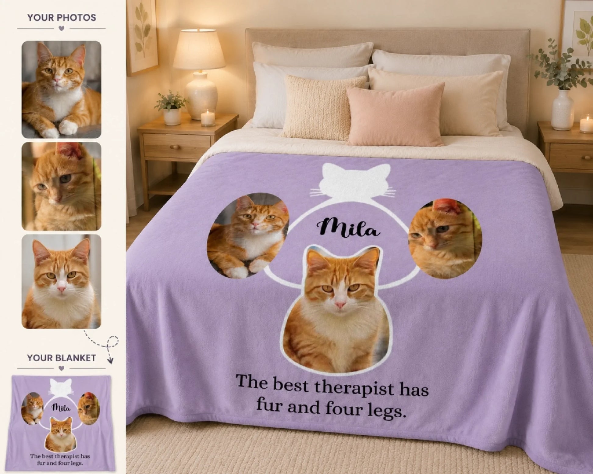 cat collage new 4